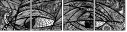 229082617