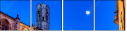 23156604