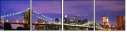 23303305
