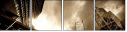 23366448