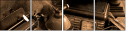 23429964