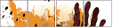 24093537