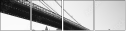 24117889