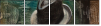 25062191