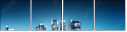 25231619