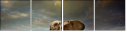 25742331