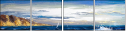 25936119