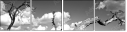 26523822