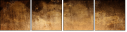 26874054