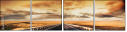 26928092