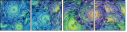 269624895