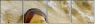 2800784