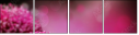 28158442