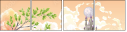28592340