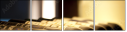 28820813