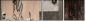 28835543