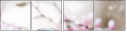 29082526