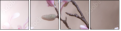 29087666