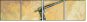 29134258