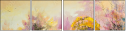 29135500
