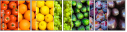29348438