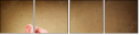 29543249
