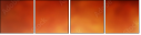 29808435