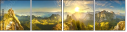 298439100