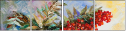 30276026