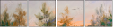 30276952