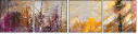 30278579