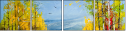 30284948