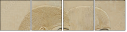 30400596