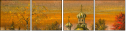 30493297
