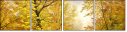 31192319