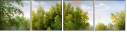 31192484