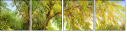 31192565