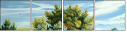 31222034