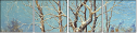 31222456