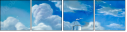 31224099