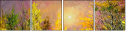 31228793