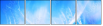 31914097