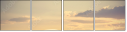32060553