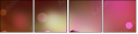 32312026