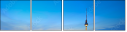 32313457