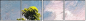 32752739