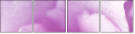 33326432