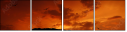 33526159
