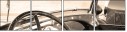 3376912