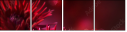 34304958